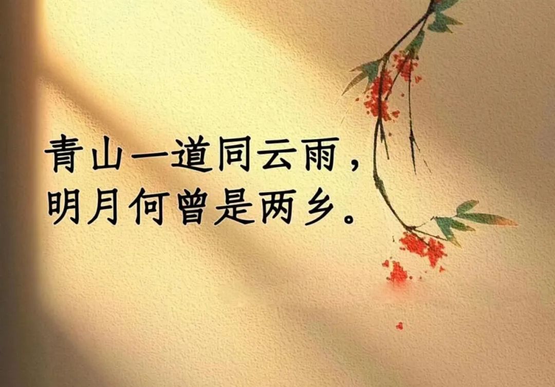 培訓回顧丨星光不問趕路者，歲月不負有心人！《GE MR工程專業(yè)技術培訓小成班》在上藥桑尼克總部圓滿結業(yè)！(圖12)